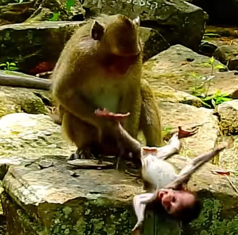 Baby Daniela Needs Help as She Faces Danger