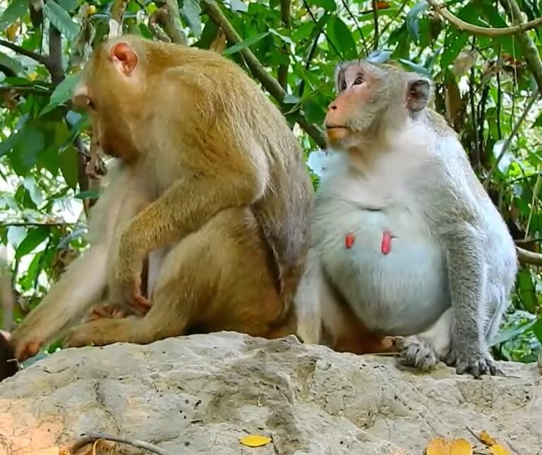 Jane and Reaksa Wait for Their Baby’s Birth