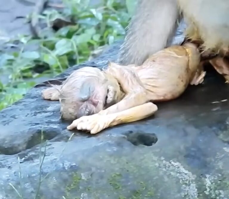 Ashley’s Difficult Birth and Her New Baby