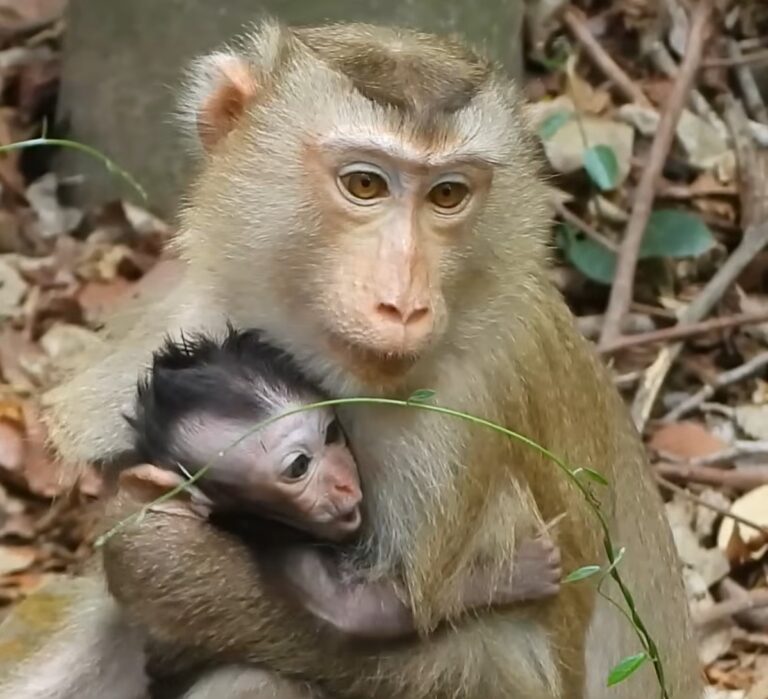 Samphas Comforts Little Dimitri on a Hard Day
