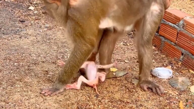 Mama Stephenie’s Morning Lesson for Her Baby