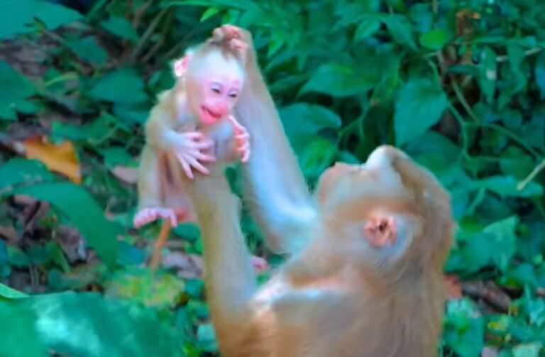 Baby Leo Cries for His Mom’s Comfort