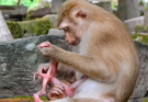 Young mother Amanda gently holds her adorable newborn baby for the first time, sharing a tender moment filled with love, happiness, and the excitement of beginning her motherhood journey.