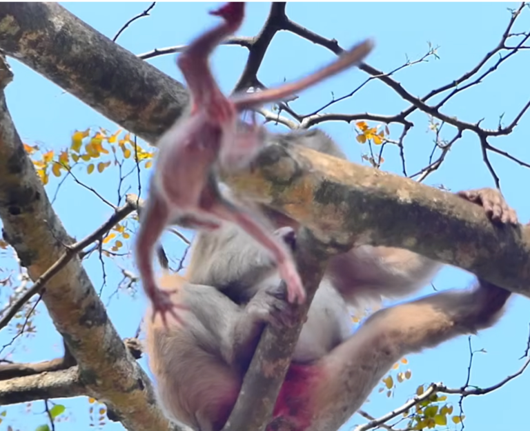 An Older First-Time Mother Struggles With Her Newborn