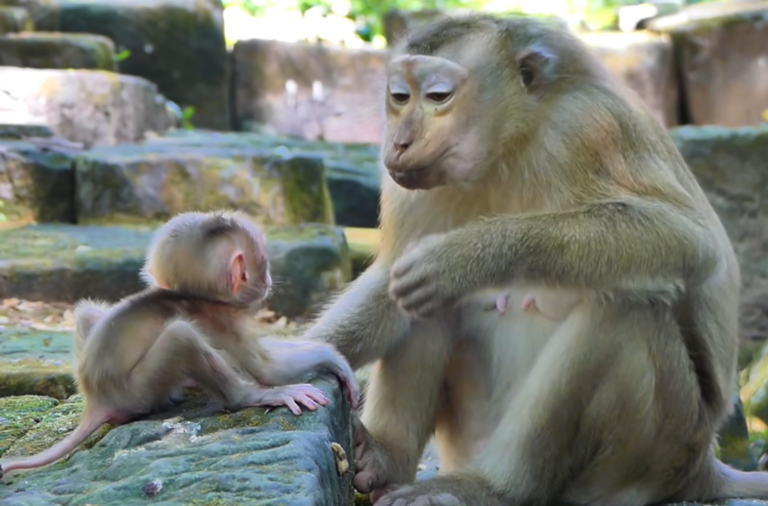 Amanda Carefully Approaches Metrey and Baby Meta