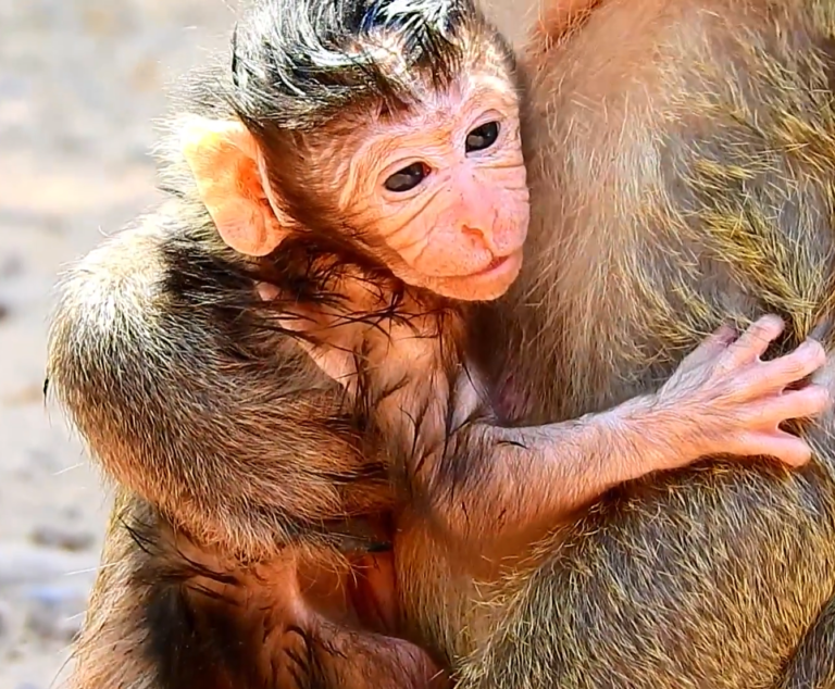 Maria Welcomes a New Baby Into the Amari Group