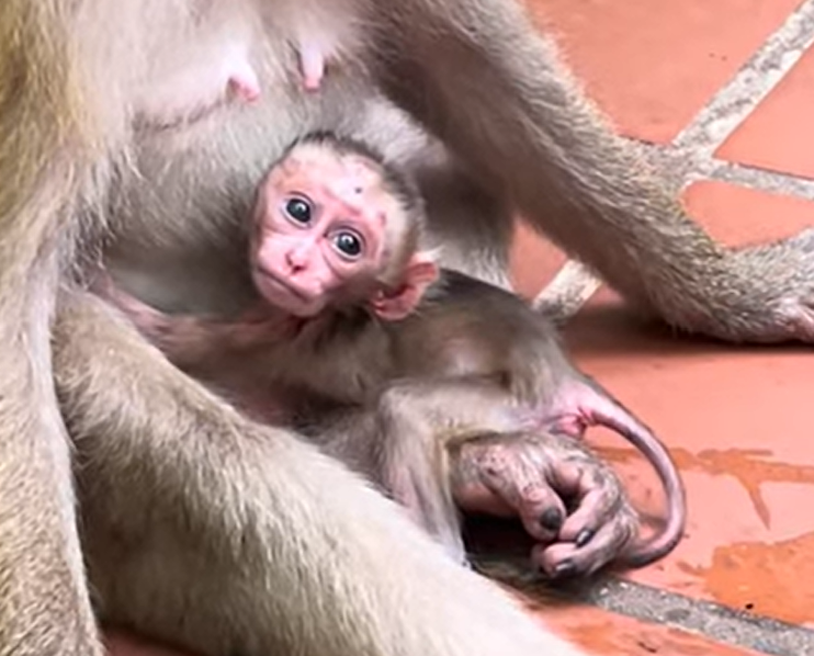 A Mother’s Love Is a Safe Place No Matter How Small You Are