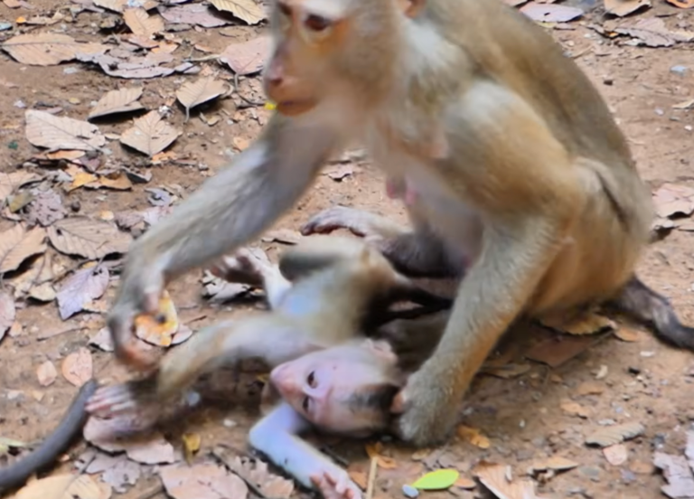 Little Lily Cries as Mom Libby Teaches a Tough Lesson