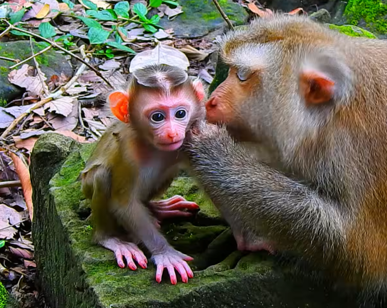 Joyce Leaves Baby Jony in the Care of Sakini and Sima