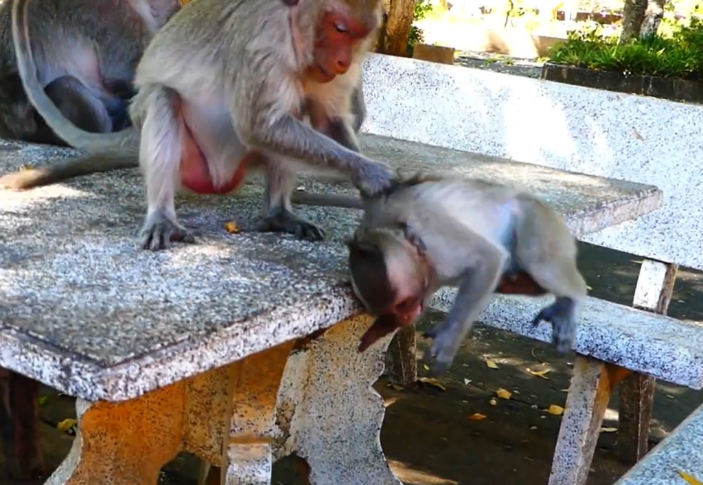 Sarah’s baby daughter stays close to her mother while enjoying milk time together.