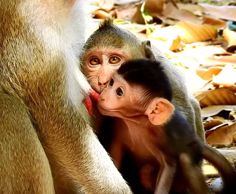 Baby Janna and Little Janet Share a Sweet Moment