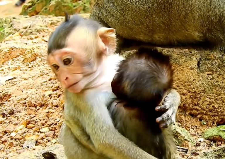 King Macus and Baby Daniela Share a Tense Family Moment