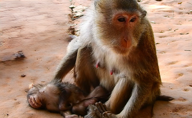 Mother Jollyrol Holds Her Newborn Close After Birth