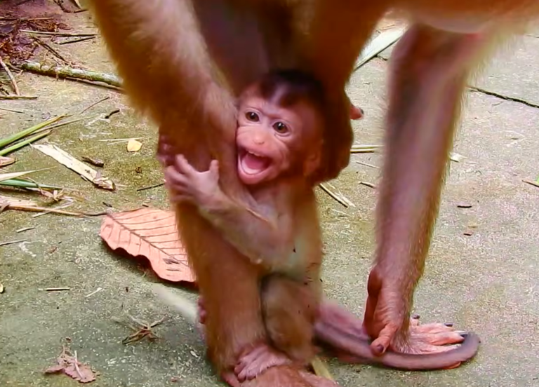 Mother Libby Teaches Her Baby a Feeding Routine