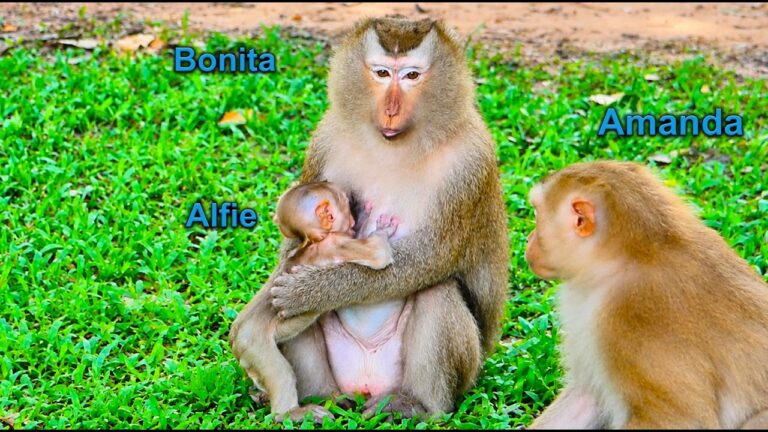 Baby Alfie Nurses From Grandma Bonita as Mom Amanda Watches